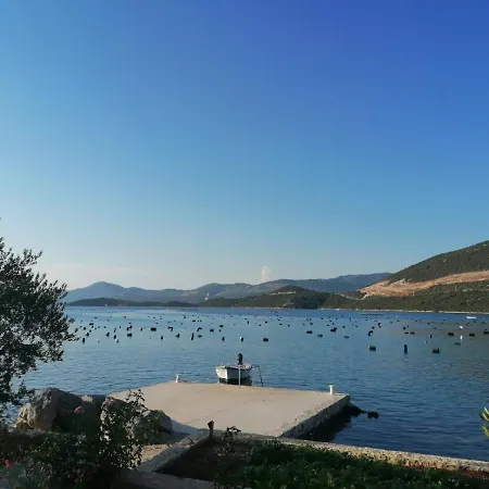Seahorse And Seastar, Peljesac Peninsula Putniković