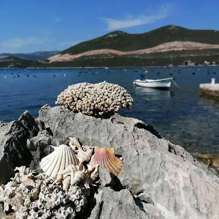 Διαμέρισμα Seahorse And Seastar, Peljesac Peninsula Putniković