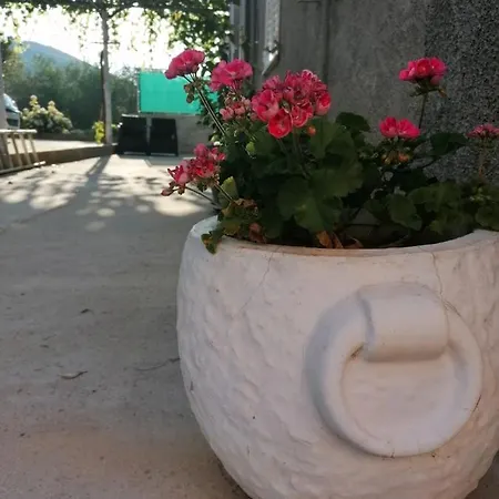Seahorse And Seastar, Peljesac Peninsula Apartamento