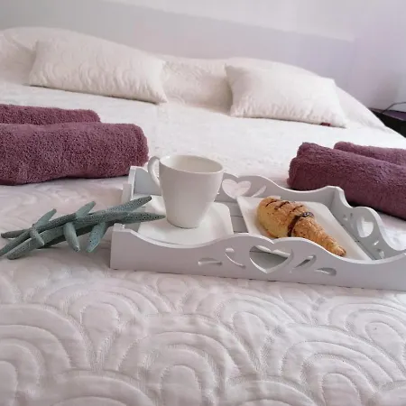 Apartamento Seahorse And Seastar, Peljesac Peninsula