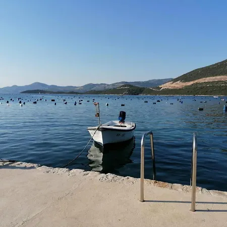 Seahorse And Seastar, Peljesac Peninsula *