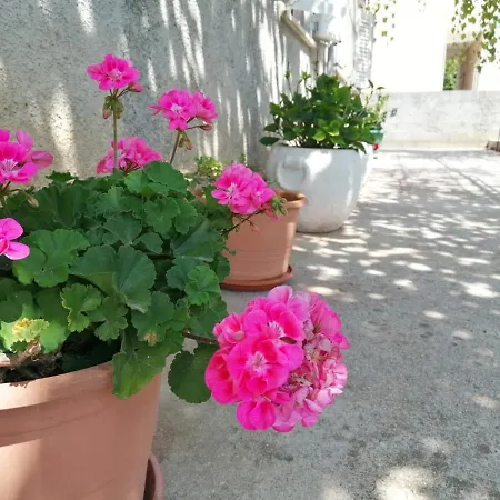 Seahorse And Seastar, Peljesac Peninsula Apartamento