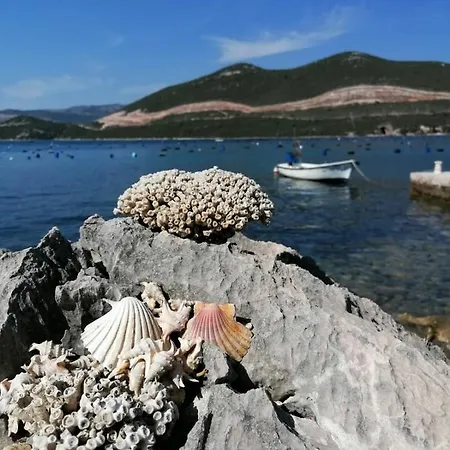 Apartamento Seahorse And Seastar, Peljesac Peninsula Putniković